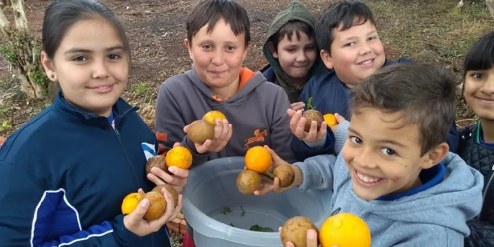 Imagem ilustrativa da imagem Alunos fazem bolos de laranja em aula de Matemática
