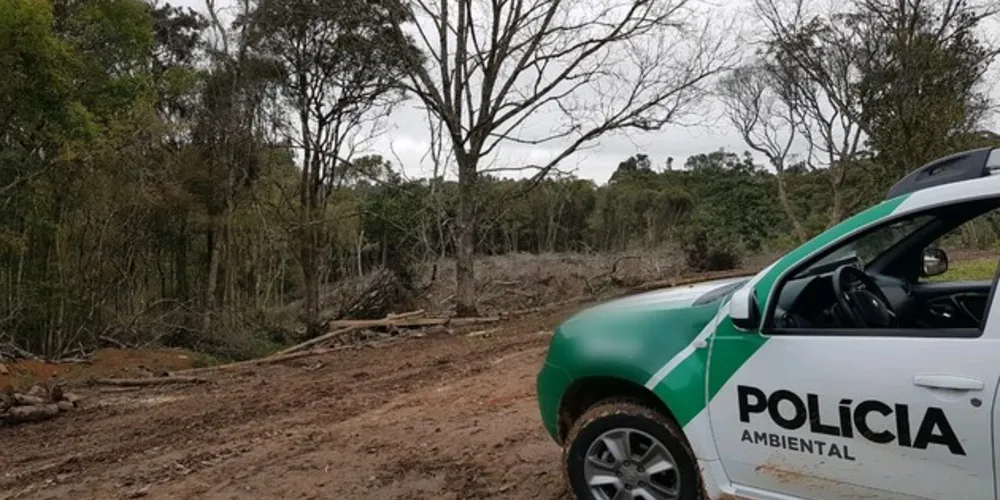 Área desmatada de floresta é superior a 4,8 hectares, segundo a polícia