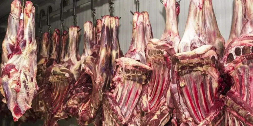Mais frigoríficos brasileiros vão exportar carnes para a China