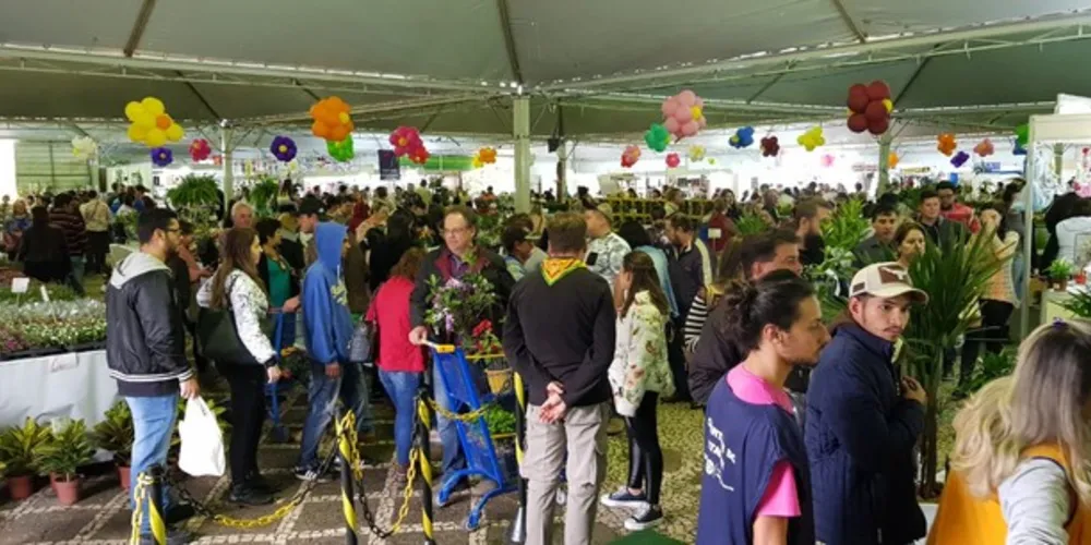 Durante 10 dias de evento, foram realizadas mais de 12 atividades

