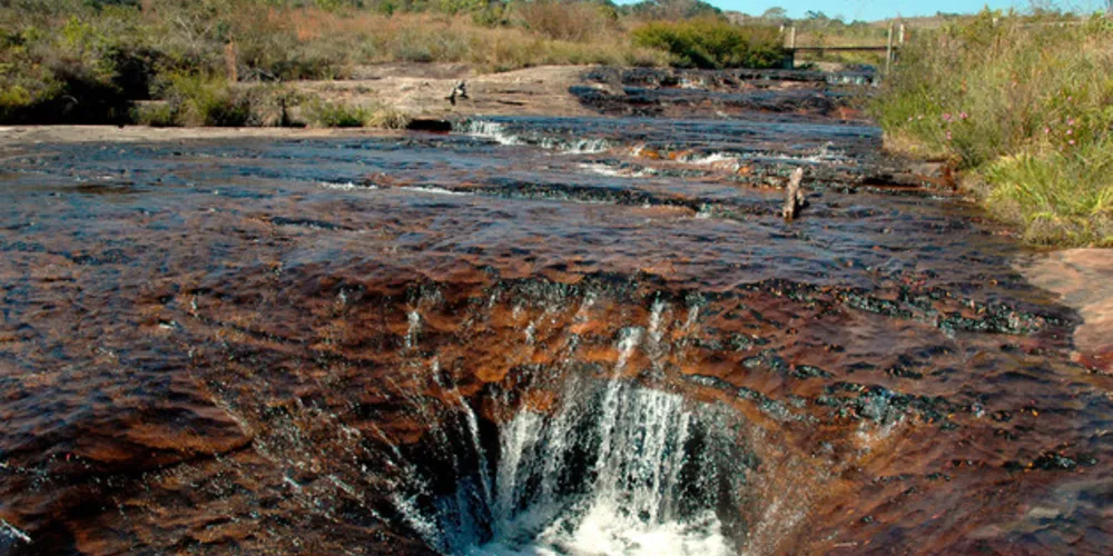 Segundo a prefeitura, os documentos de privatização devem ficar prontos até o final deste ano