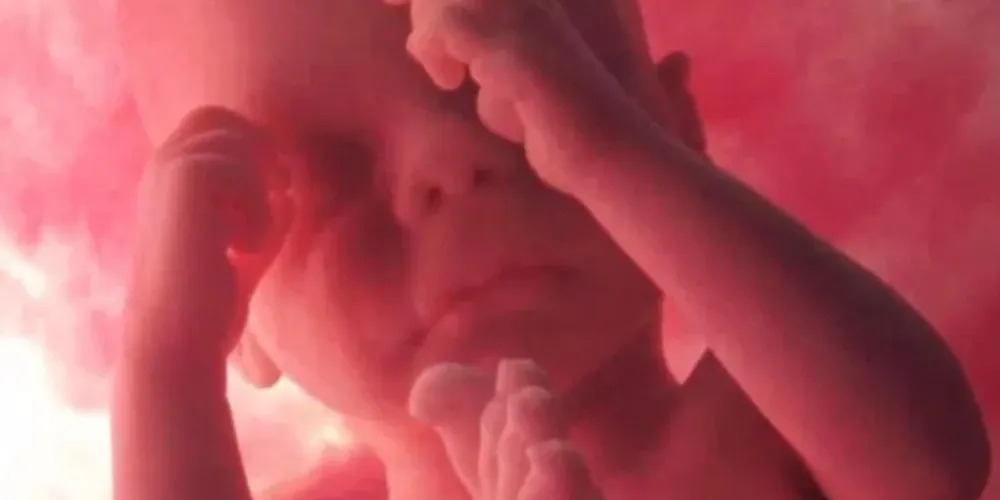 Feto foi encontrado com sangue, cordão umbilical e placenta