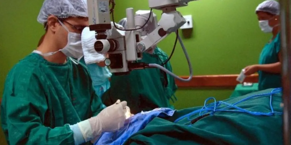 Dados mostram ainda que, das 63.969 cirurgias bariátricas realizadas em 2018, 77,4% foram através de convênio médico