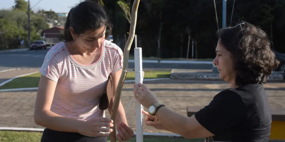 As árvores já vieram em porte grande e variam nas qualidades, que ao todo são 10 como Pitangueira, Vacum, Canela de Cheiro e Canela de Cutia