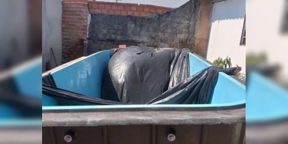 Os policiais chegaram até a residência após receberem uma denúncia