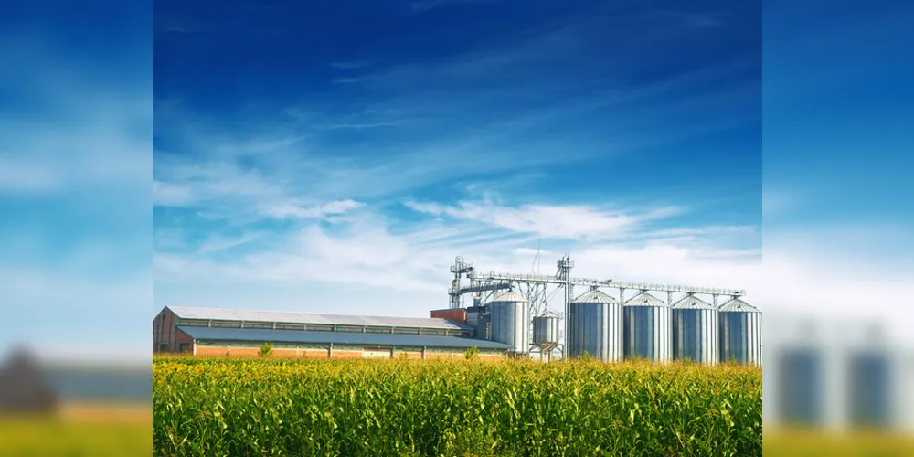 Seguro oferece proteção contra danos elétricos na estrutura da produção agrícola