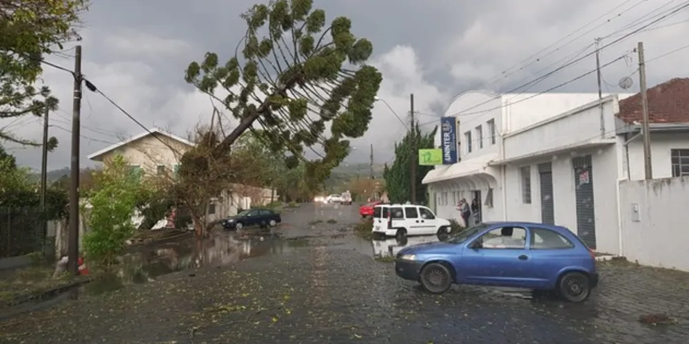 Imagem ilustrativa da imagem Após temporal, bombeiros de PG atuam em cidades da região