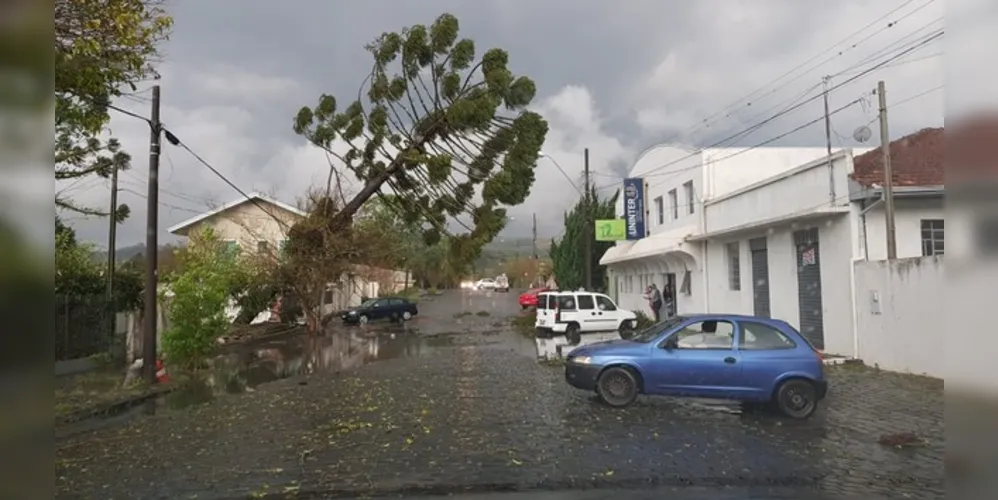 Imagem ilustrativa da imagem Após temporal, bombeiros de PG atuam em cidades da região