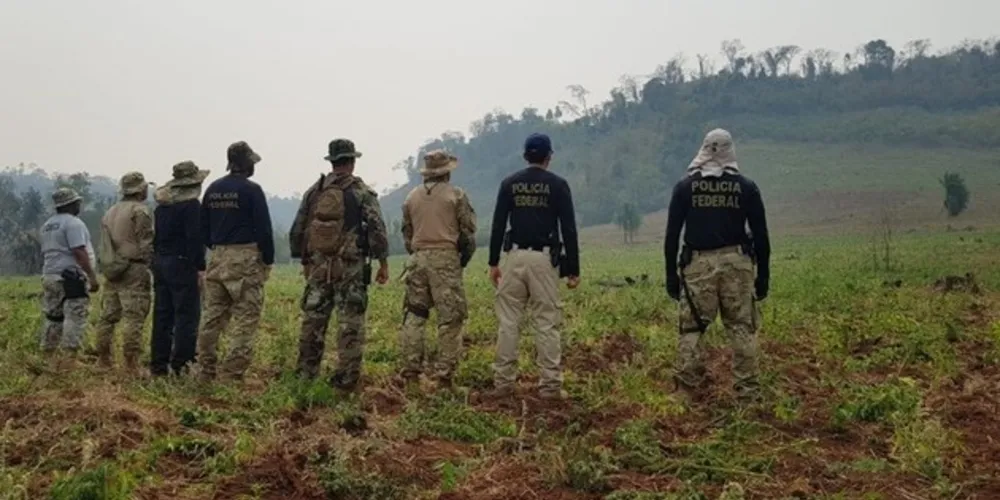 De acordo com a Polícia Federal, estratégia é atacar a produção antes que ela chegue ao mercado brasileiro