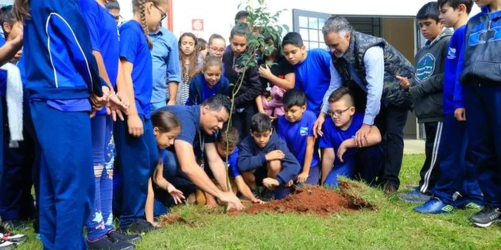 Professora de Escola Municipal na Vila São Francisco é selecionada pela segunda vez para fase final de projeto Agrinho Solos
