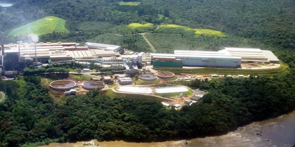 Presença de empresas como a Klabin impulsionam o setor nos Campos Gerais