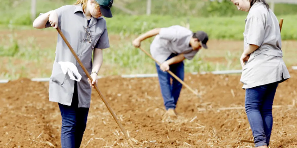  São 100 vagas para o Curso Técnico em Agropecuária Integrado ao Ensino Médio, sendo que 35 vagas são para o regime de Internado