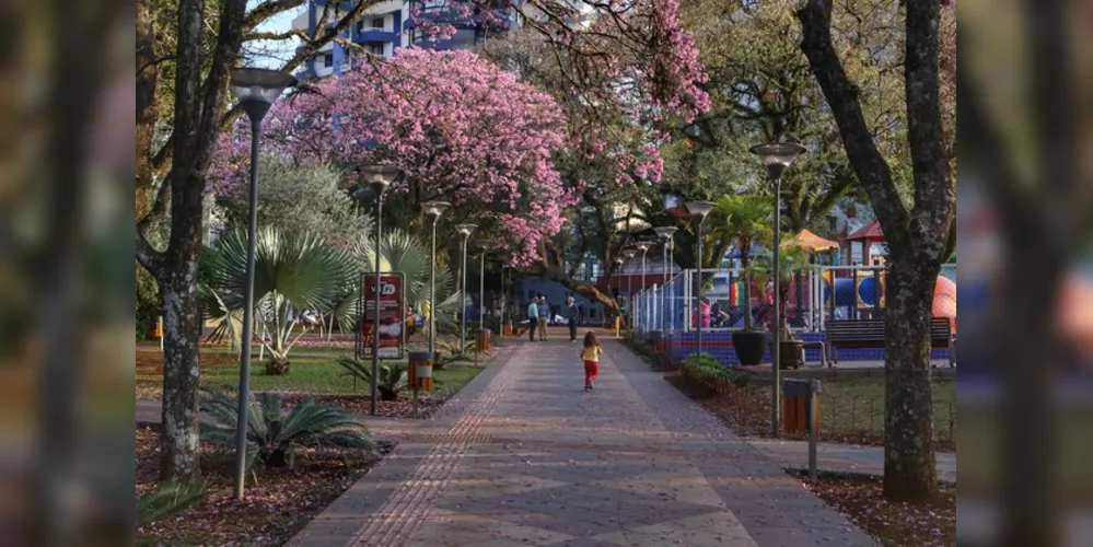A primavera começa às 4h50 desta segunda-feira, 23 de setembro, e termina à 1h19 de 22 de dezembro