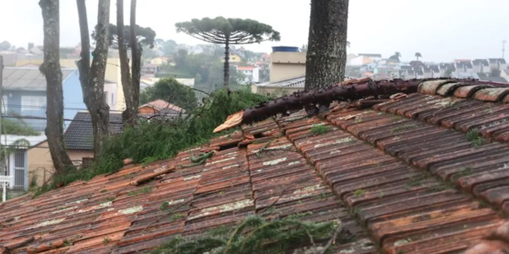 Imagem ilustrativa da imagem Chuvas no Estado afetam mais de 23 mil pessoas