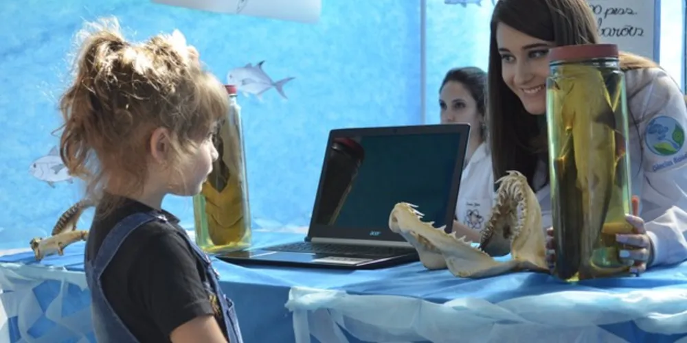As apresentações serão realizadas na forma de estandes, para que os pesquisadores possam interagir com os visitantes e apresentar atividades didáticas e lúdicas