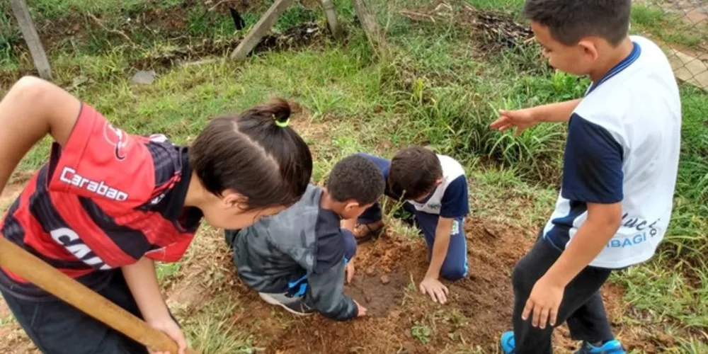 Imagem ilustrativa da imagem Alunos e funcionários se unem por pomar escolar em Tibagi