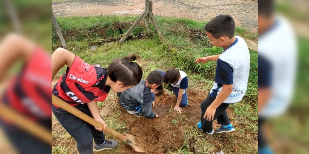 Imagem ilustrativa da imagem Alunos e funcionários se unem por pomar escolar em Tibagi
