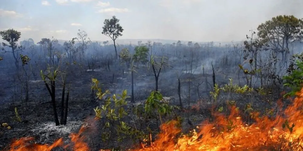 A queimadas na  Amazônia tiveram alta em agosto e queda em setembro, segundo dados do Cesipam