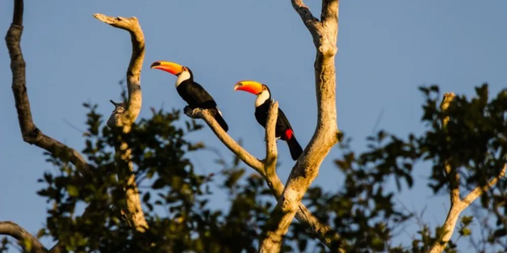  O país conta com seis tipos de biomas terrestres, cada um com características específicas de clima, paisagem, fauna e flora