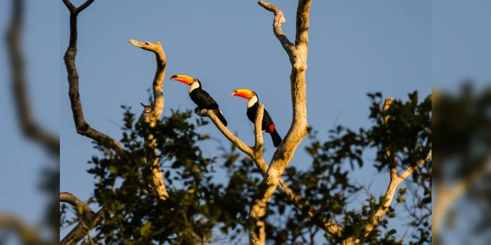  O país conta com seis tipos de biomas terrestres, cada um com características específicas de clima, paisagem, fauna e flora