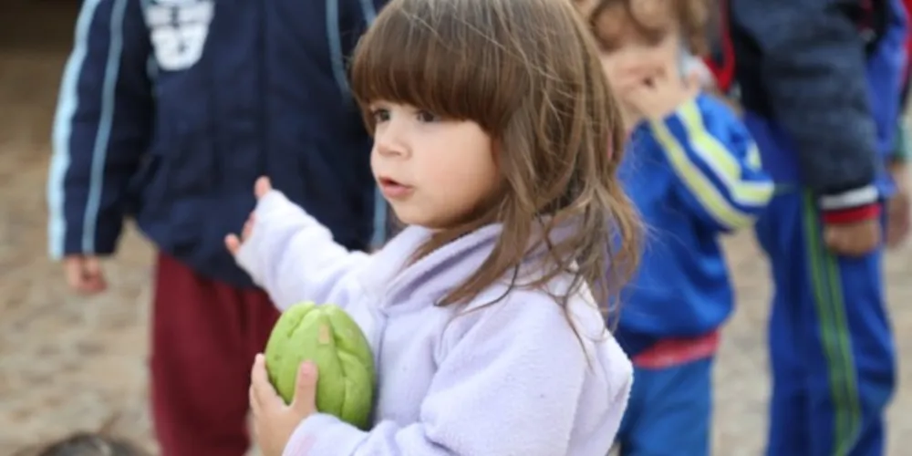 Na tarde desta terça-feira (24), o projeto Feira Verde reuniu aproximadamente 45 alunos da Educação Infantil da Pro-Ensino Kids, no bairro Neves, para mais uma atividade de conscientização ambiental. 