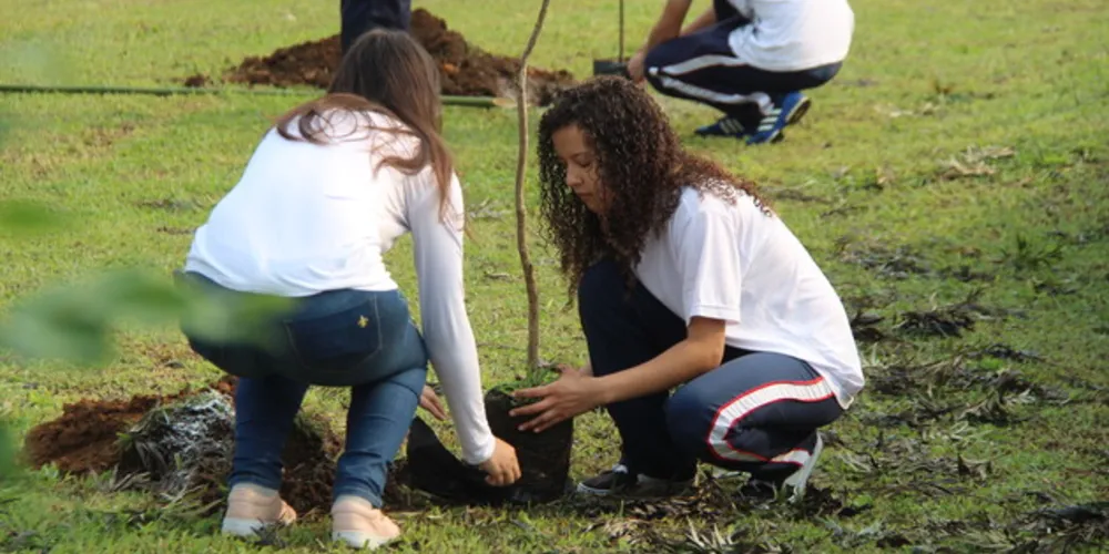 Atividade foi promovida pela ONU e mais 157 escolas de todo o mundo participaram da ação

