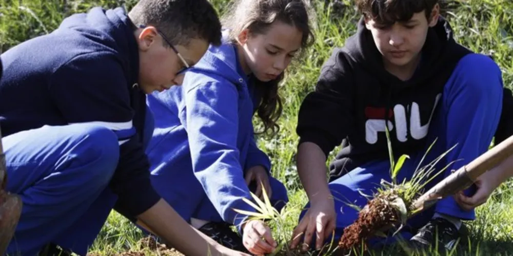 As mudas foram doadas pelo Instituto Ambiental do Paraná (IAP) em parceria com a Secretaria de Estado da Educação do Paraná (Seed-PR), que, além das árvores plantadas na escola, doou mais 90 mudas para que os estudantes levem para suas casas