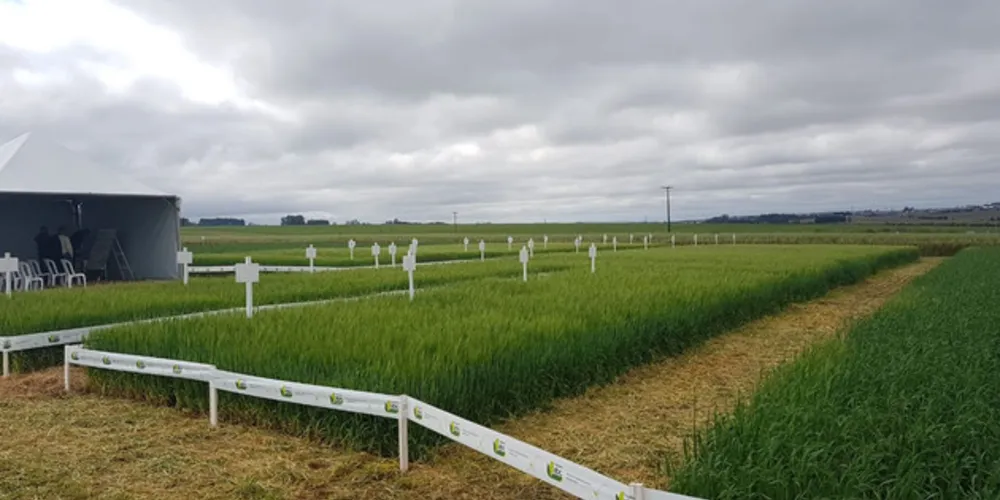 Evento ocorreu em Ponta Grossa nesta quarta-feira
