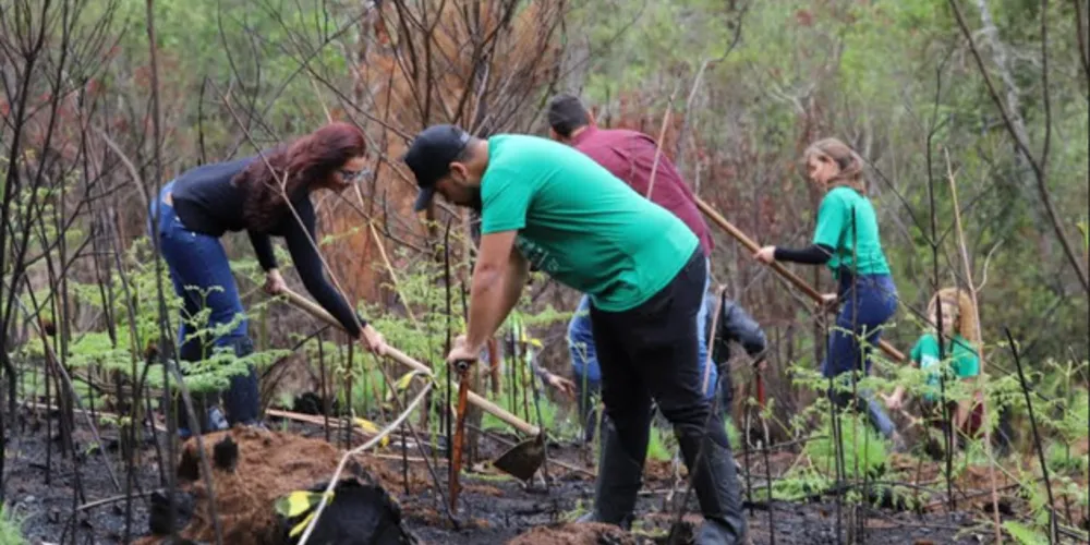 Estudantes do curso de engenharia florestal participaram de plantio de mudas em área de preservação
