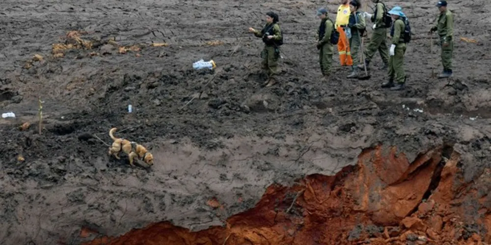 Imagem ilustrativa da imagem Bombeiros encontram mais um corpo em Brumadinho