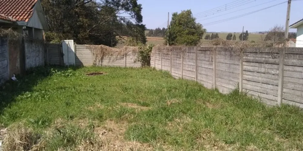 No próximo sábado (5), voluntários participarão de uma ação especial na Colmeia Espírita Cristã Abegail, em Uvaranas. 