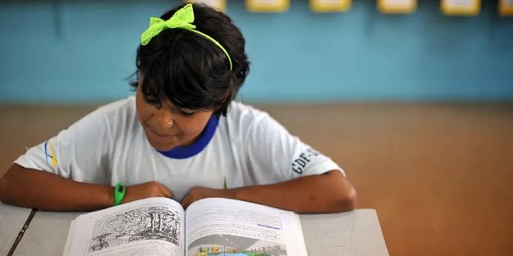 O Ministério da Educação (MEC) divulgou hoje (2) os resultados preliminares do Censo Escolar da Educação Básica 2019. 