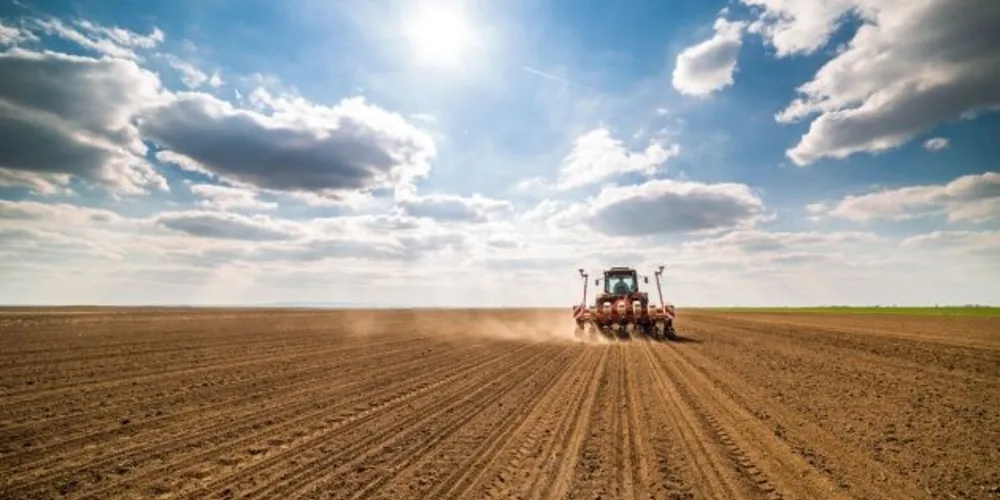 Imagem ilustrativa da imagem MP do Agro melhora condições de operação do crédito rural