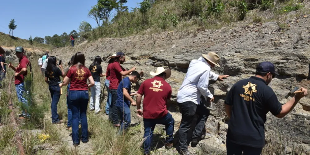 Na última sexta (4), estudantes do curso de Agronomia da Universidade Estadual do Norte do Paraná (UENP) de Bandeirantes, estiveram visitando o sítio