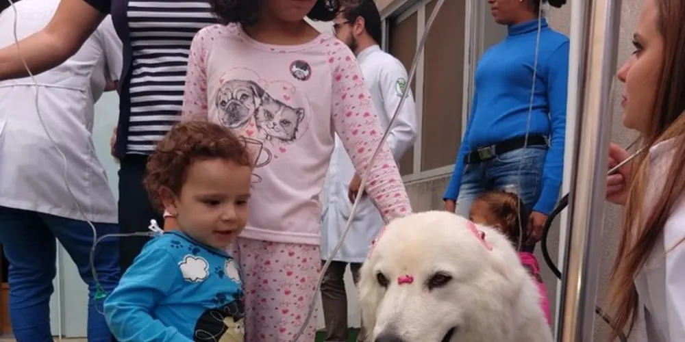 Nesta terça-feira (08), a coelhinha Catarina e a cachorra Kaila, foram às atrações do Hospital Municipal João Vargas de Oliveira. 