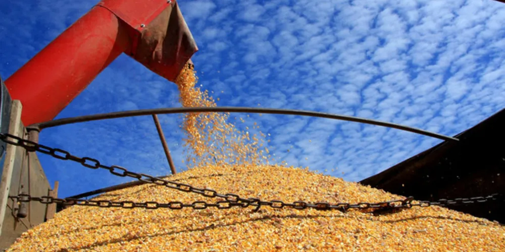 Entre os produtos que devem puxar essa alta está o milho, uma das três principais lavouras de grãos do país