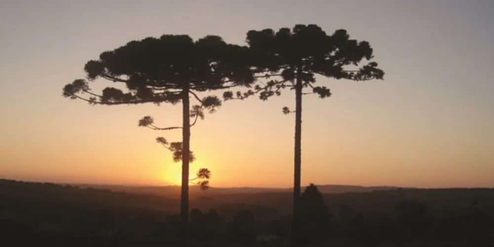 Pôr do sol nos Campos Gerais em época de primavera