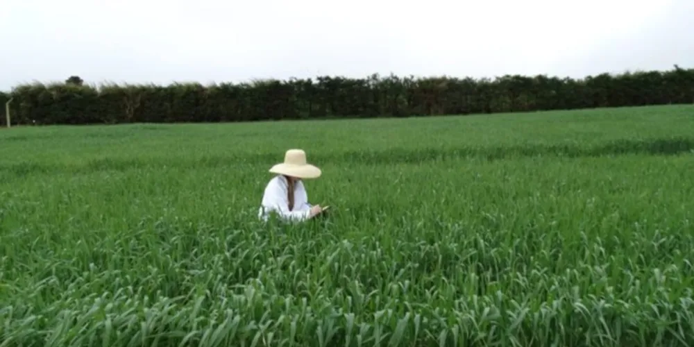 Profissão completa 86 anos acompanhando as transformações tecnológicas e em sintonia com as exigências de mercado
