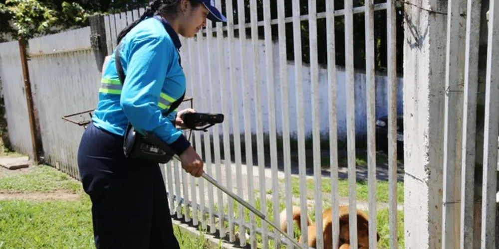 Empresa aprimora processos e tecnologias para assegurar a eficiência na prestação de serviços