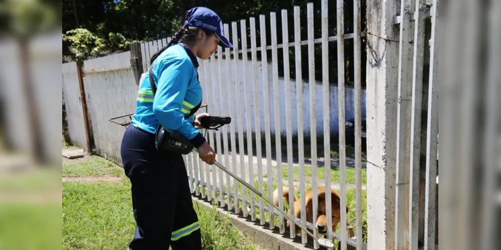 Empresa aprimora processos e tecnologias para assegurar a eficiência na prestação de serviços