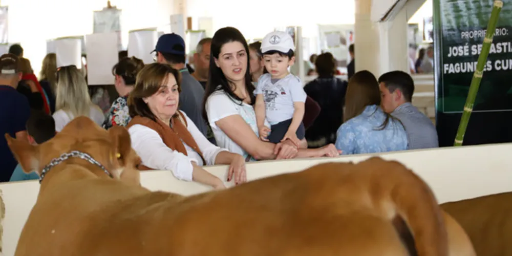 Imagem ilustrativa da imagem Feira Paraná terá grande número de animais e raças