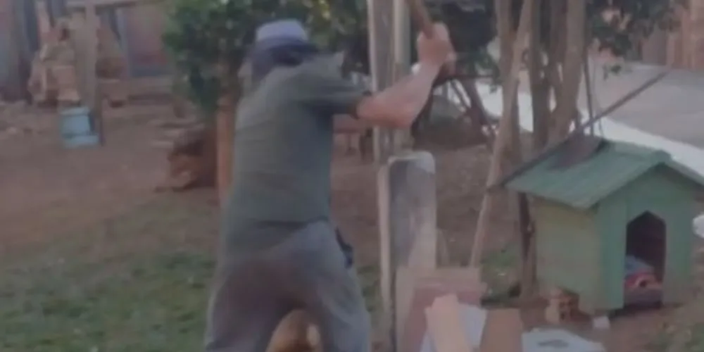 Imagem ilustrativa da imagem Acusado de matar cachorro decapitado será julgado hoje