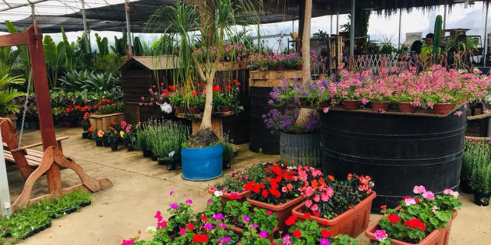 O evento já consolidado nos campos gerais marca o início da primavera, principal estação para desenvolvimento de plantas.