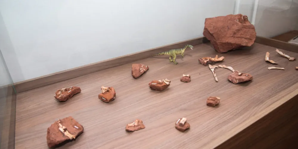 O local ficou famoso em junho deste ano, quando foi revelada a descoberta do primeiro dinossauro encontrado no Estado, o Vespersaurus paranaensis