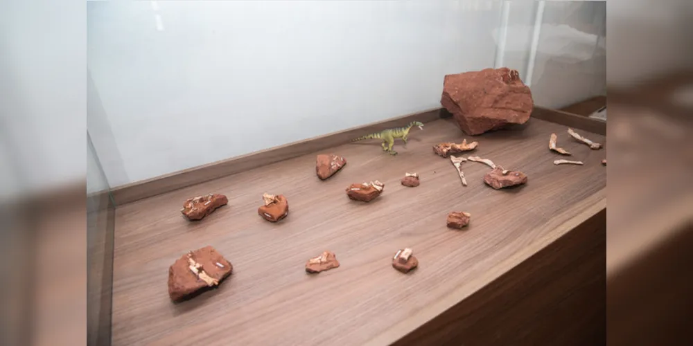 O local ficou famoso em junho deste ano, quando foi revelada a descoberta do primeiro dinossauro encontrado no Estado, o Vespersaurus paranaensis