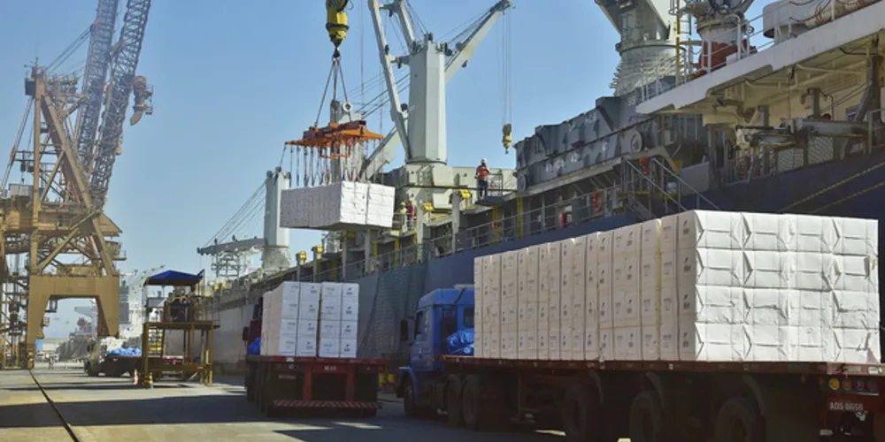 A celulose está entre os produtos mais exportados pelos Campos Gerais