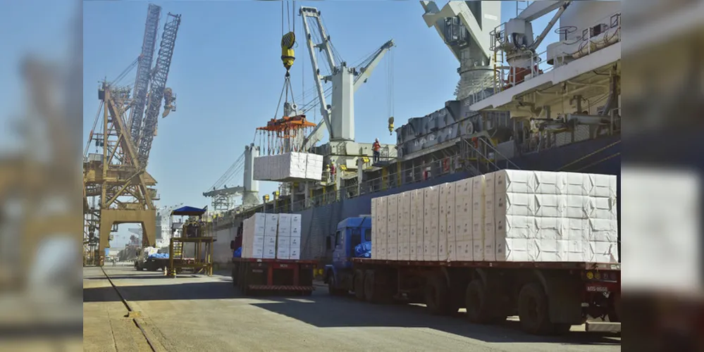 A celulose está entre os produtos mais exportados pelos Campos Gerais