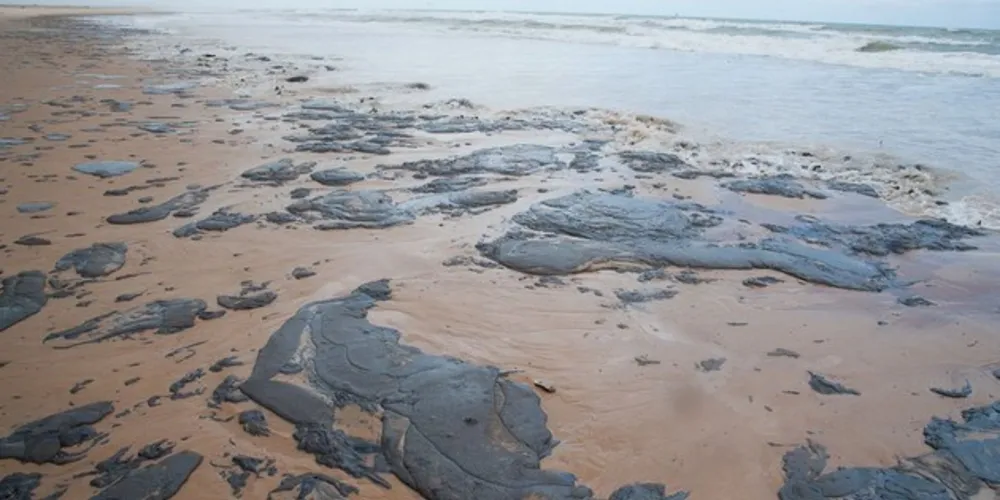 Análises do Centro de Pesquisas da Petrobras atestaram que o óleo cru que polui praias de diversos estados do Nordeste desde setembro não é produzido no Brasil