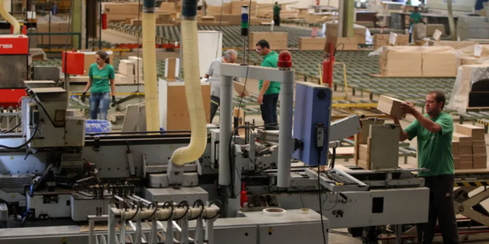 O Estado está entre os que mais geraram oportunidades de trabalho no País neste ano, junto com São Paulo, Minas Gerais e Santa Catarina.