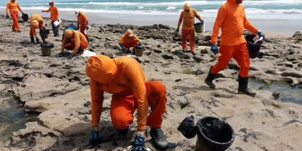 Mais de 525 toneladas de resíduos foram retirados de praias com óleo